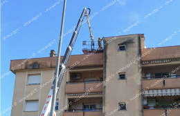 Decine di case infestate da calabroni rossi: via all'operazione di bonifica