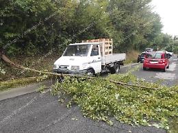 Maltempo, danni e disagi. Un albero cade sulla strada