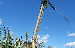 Si spezza un palo della telefonia