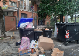 Posto dei disabili occupato dai cassonetti