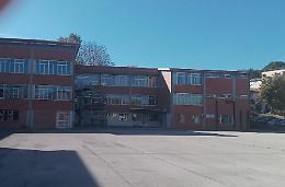 Topi nella scuola, scatta la derattizzazione 