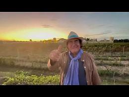 Tradizioni e festa dell'uva. Il messaggio speciale di Al Bano alla comunità
