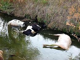 Sin Valle del Sacco, la bonifica che non c’è. Un’occasione persa