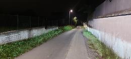 Uccisa dal montone, catturato l’animale