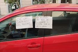 Gattino si infila nel motore. Cartelli per avvisare il proprietario