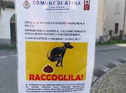 Deiezioni canine sporcano il centro storico. Spuntano i cartelli di monito per gli incivili