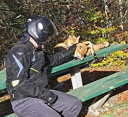 Un incontro speciale per due motociclisti 