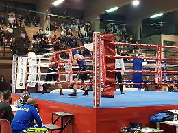 La giunta dice no e la riunione di boxe salta. È bufera in maggioranza