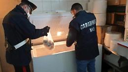 Ristorante etnico non rispetta le norme di igiene: multa salata al titolare