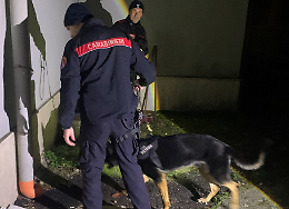 Spaccio di droga: cinque arresti per due famiglie sinti 