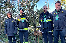 “Sussurri tra le ceneri”. I vigili del fuoco in campo contro lotta agli incendi boschivi 