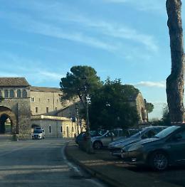 Tagliati i due alberi inclinati nel piazzale di Casamari
