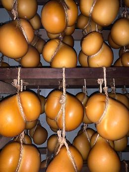 Marchio De.Co. per il Gran Cacio di Morolo, importante riconoscimento per l'eccellenza ciociara
