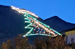 Torna la magia dell'albero sul monte 