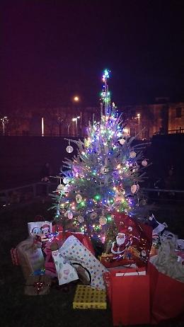 I bambini accendono l'albero di Natale in Piazza Annunziata