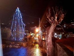 400 metri di luminarie per l'albero della Scuola San Tommaso D’Aquino