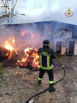 A fuoco una rimessa agricola, i vigili del fuoco salvano numerosi animali