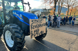 Rincari, appello alle istituzioni