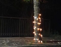 Atto vandalico nella notte di Capodanno