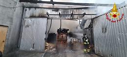 Incendio in uno stabilimento: vigili del fuoco al lavoro con più mezzi