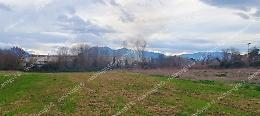 Ancora fiamme nella Adler Evo