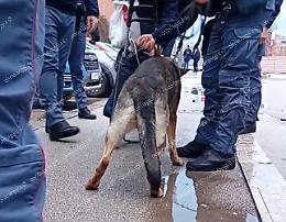 Controlli interforze allo "Scalo", disposti 4 ordini di allontanamento