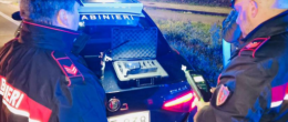 Provano a derubare un ragazzo: denunciati due minorenni 