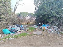Strada provinciale: dopo la pulizia tornano i rifiuti 