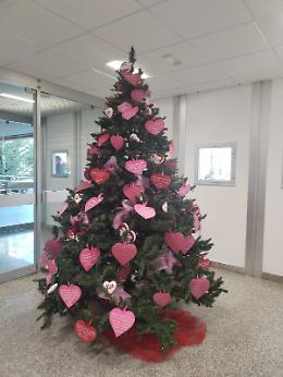 All'ospedale Santissima Trinità un albero che parla d'amore