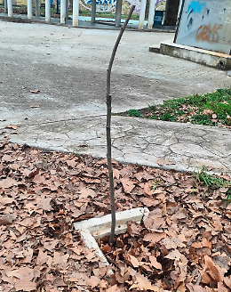 Pericoli al parco Valente. Lo sfogo di una cittadina sui social 