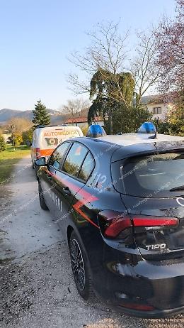 Famiglia aggredita da un pastore maremmano. Interviene il marito e uccide il cane