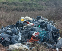 Caccia aperta agli inquinatori