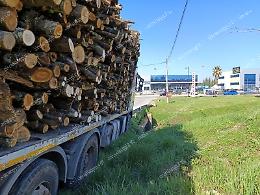 Camion carico di legna resta infilzato nel guard-rail