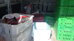 Sequestrati alimenti non idonei al consumo 