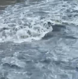 Acque nere  nel fiume Liri: allarme inquinamento