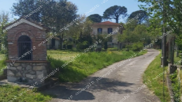Rubano gioielli e denaro con il proprietario in casa