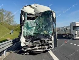 Incidente in autostrada. Coinvolto un pullman con bambini a bordo 
