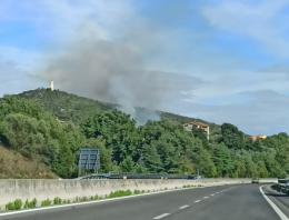 Incendio nel bosco. Piromane identificato e denunciato 
