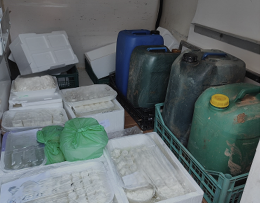 Prodotti caseari e taniche con letame liquido: shock durante una perquisizione