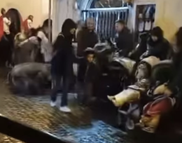 Paura durante la Via Crucis. Un cavallo cade e travolge il pubblico
