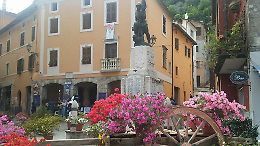 Un’esplosione di colori e profumi. A Supino la mostra dell’azalea