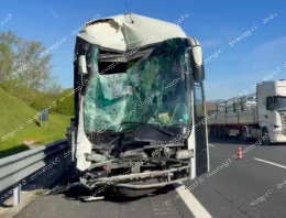 Incidente durante la gita. Una benemerenza a chi ha aiutato i bimbi feriti