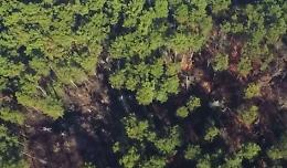 “Vandra e il bosco - Storia, ricordi e natura”. Oggi la presentazione del libro