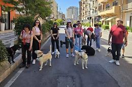 L'11 giugno in Provincia la presentazione del progetto "Cani in città"