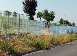 Via Fanelli, dove regna l'incuria