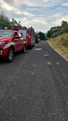 Incendio a bordo strada: le fiamme lambiscono un uliveto