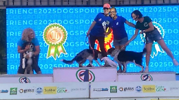 Dora Terlizzi e la sua cagnolina Scarlet Witch sono campionesse italiane di freestyle e speedwater 
