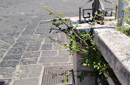 Spine sul ponte di Napoli: cittadini preoccupati