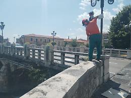 Volontario taglia le spine sul ponte di Napoli