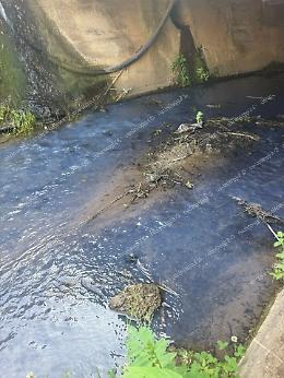 Le acque del canale si tingono di blu 